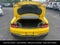 2024 Ford Mustang GT Premium 5.0 V8 NITE PONY PACKAGE