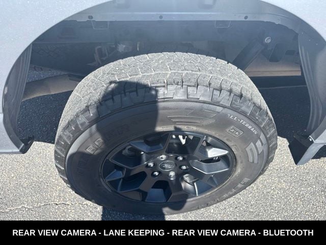 2024 Ford F-150 STX LOCAL TRADE
