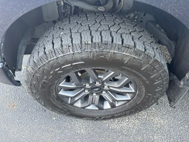2023 Ford F-150 Tremor 5.0 V8
