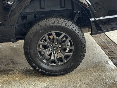 2025 Ford F-150 Tremor Radio: B&O Sound System by Bang & Olufsen