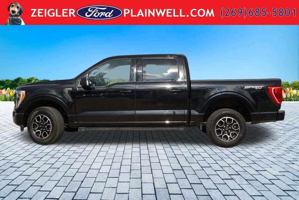 2023 Ford F-150 XL